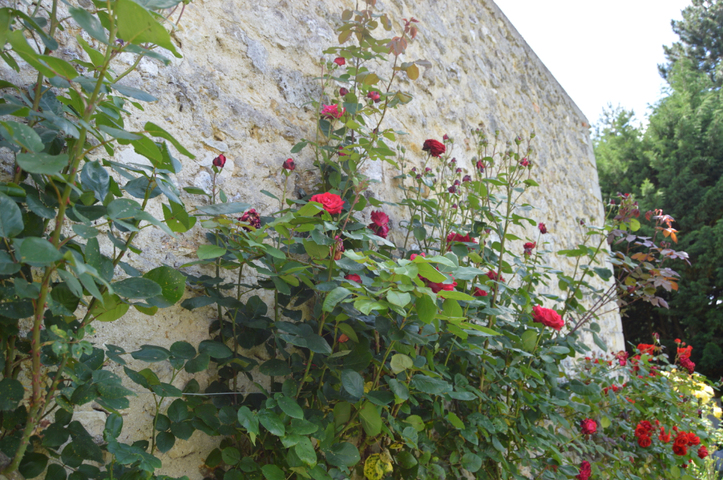 Maison de 130m2 - 6 pièces - Reims